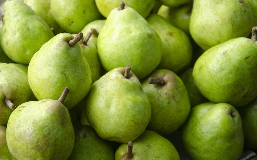 Green fresh pears. landscape background.	

