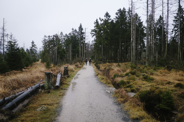 Full length of people walking on road against trees