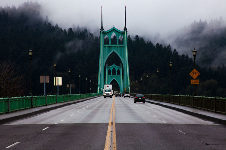 Vehicles on st johns bridge against tree during foggy weather
