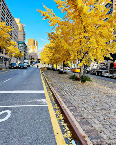 Road by buildings in city during autumn