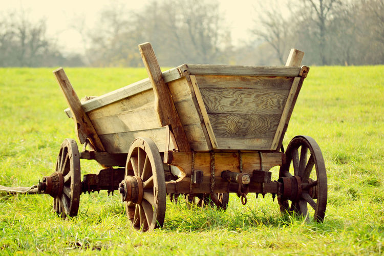 Horse cart on field