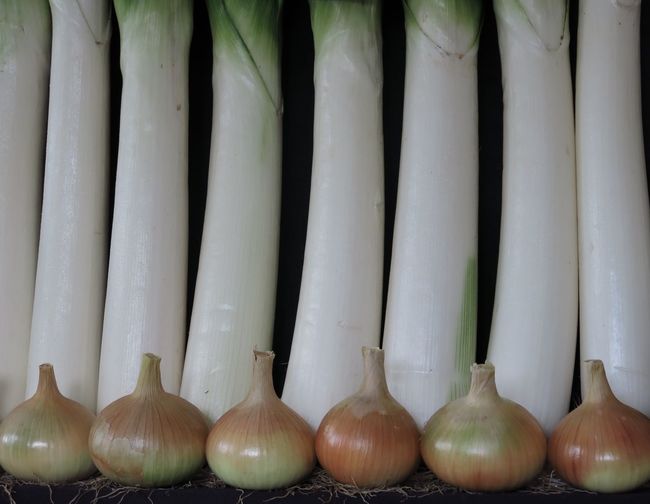Close-up of onions