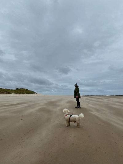 Woman walking dog on sand against sky