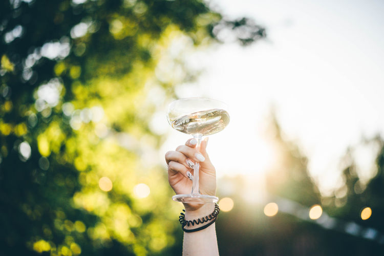 Woman hand holding a glass of white wine on the blurred background of green park.