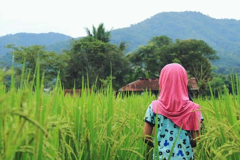 Rear view of girl standing amidst plants