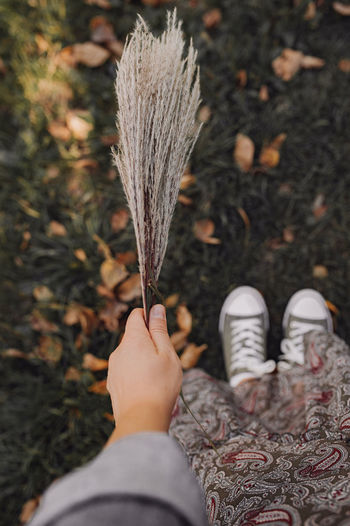 Autumn atmosphere. bouquet of dry grass in your hand against the background of blurred legs