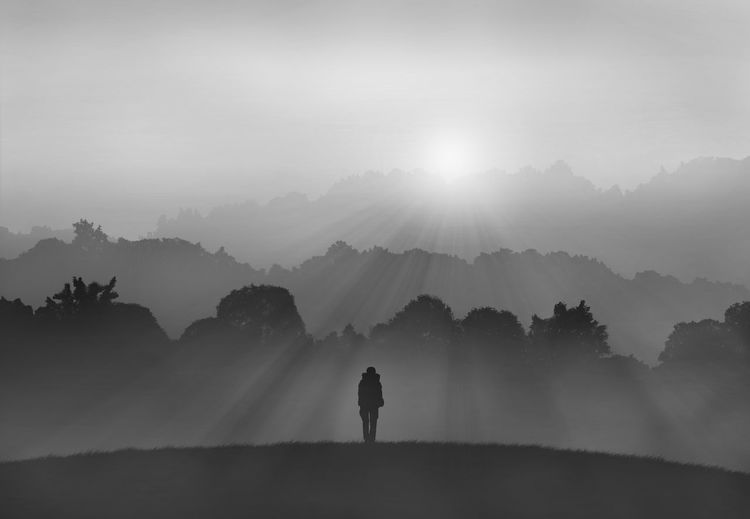 Man walking against trees on sunny day during foggy weather