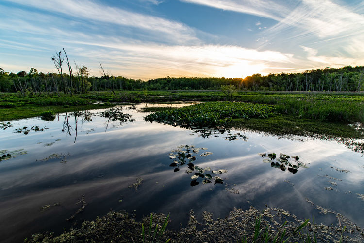 Scenic view of lake against sky during sunset in conestee nature preserve, south carolina