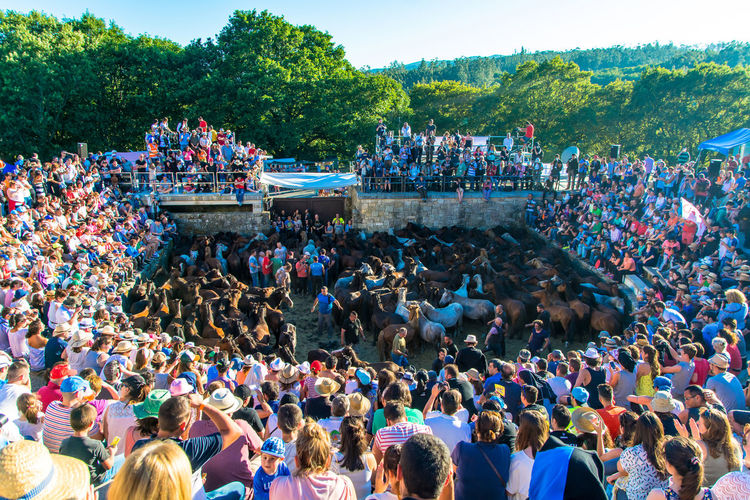Horses surrounded by crowd during rapa das bestas at galicia
