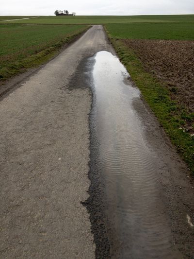 Dirt road in field