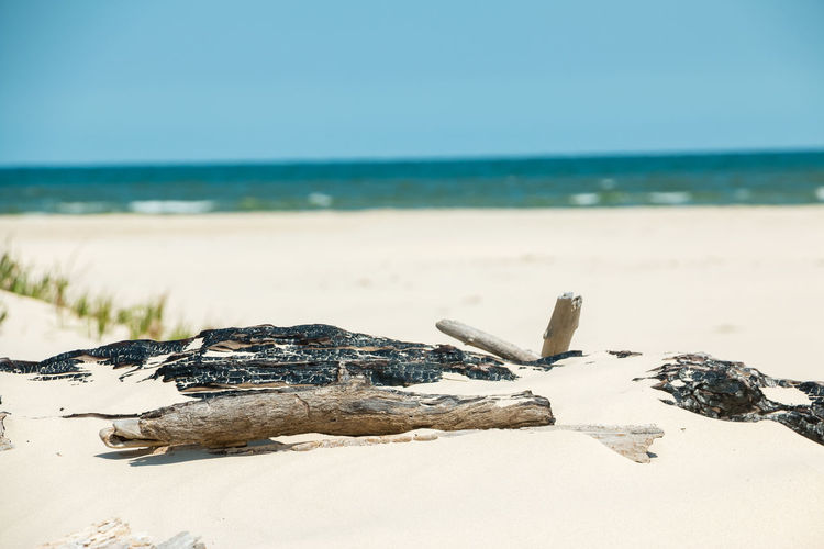 View of driftwood on beach
