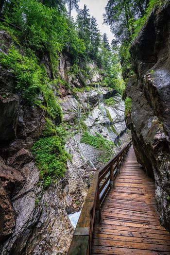 Wooden footbridge over rocks in forest