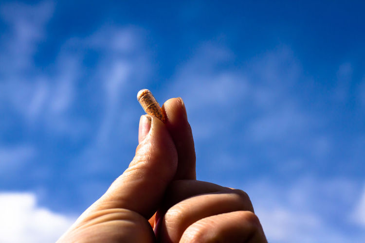 Male hand holding a vitamin capsule with zinc up to a blue sky with tiny white clouds
