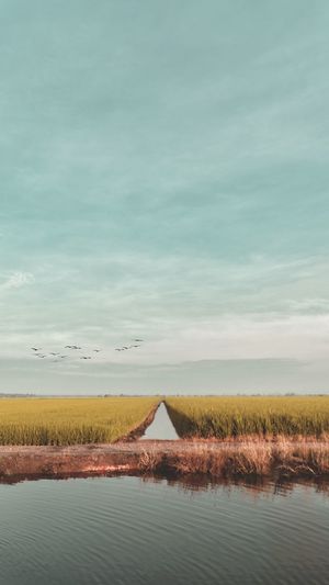 Scenic view of land against sky