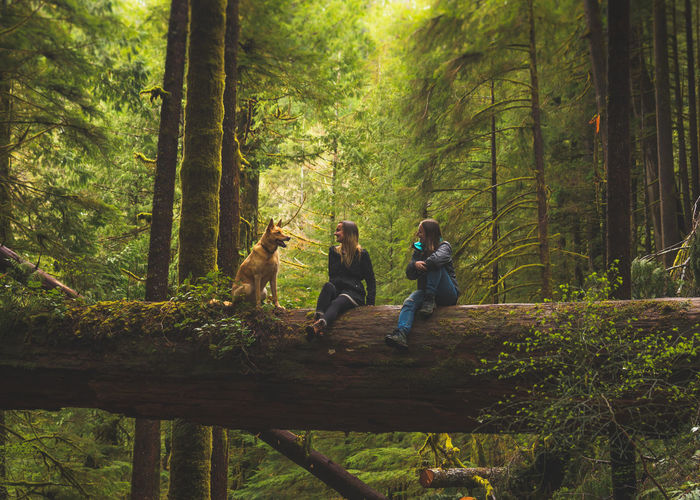 PEOPLE SITTING BY TREES IN FOREST