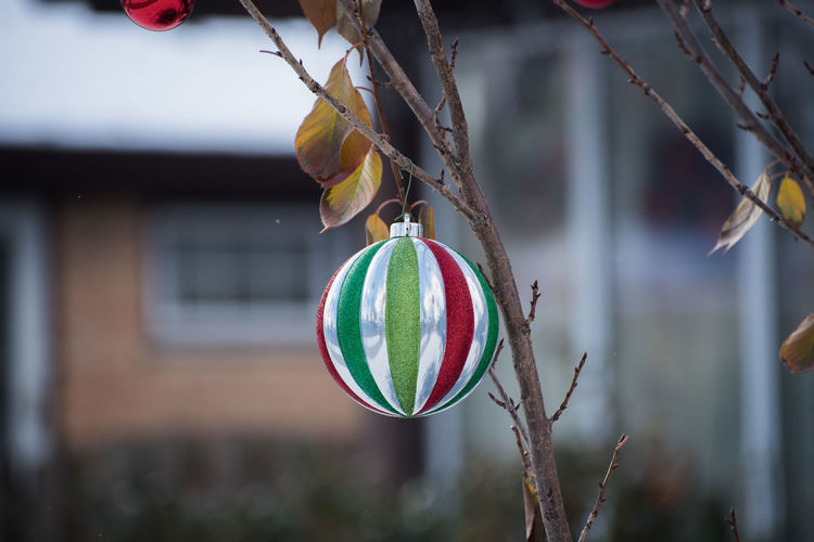 Close-up of multi colored  christmas bauble