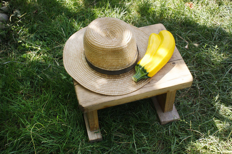 Summer sun hat and zucchini on chair
