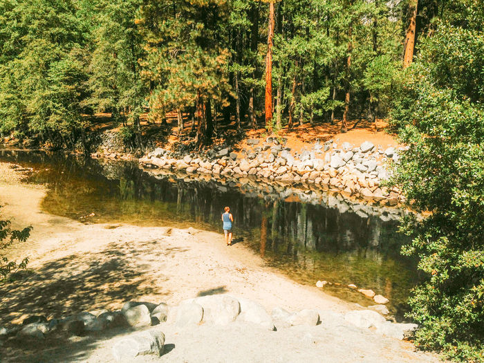 High angle view of woman standing by stream at forest