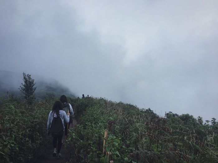 Rear view of people walking on mountain during foggy weather