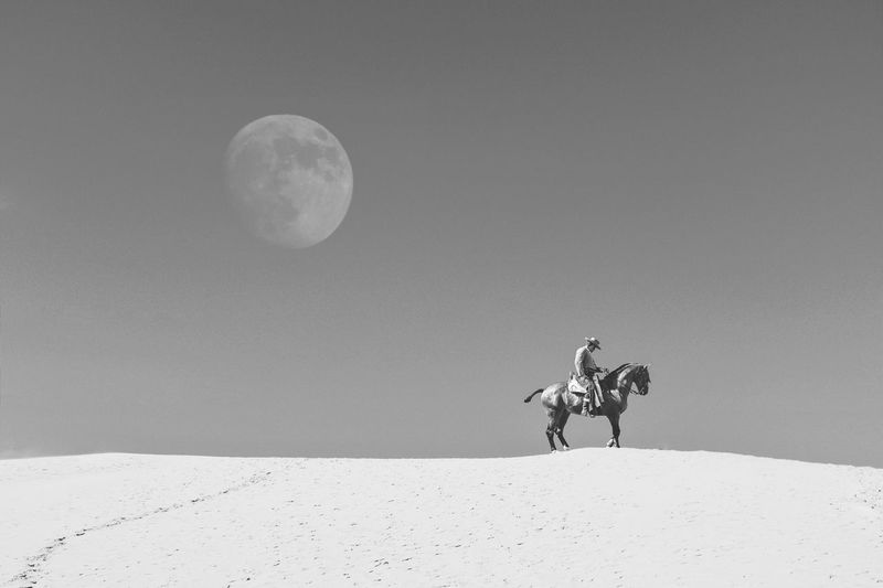 Man riding horse on landscape