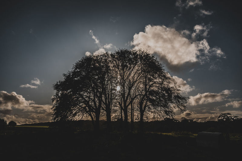 Low angle view of silhouette trees on field against sky