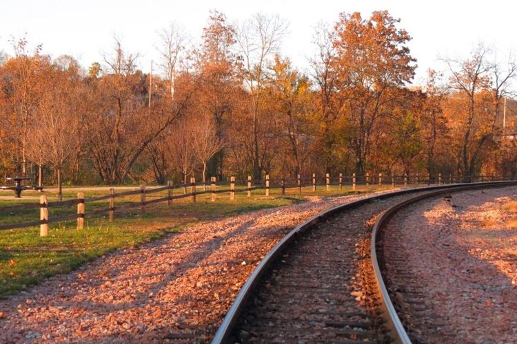 Railroad track in forest