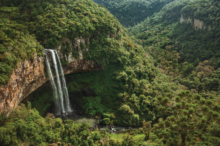 Caracol waterfall falling from rocky cliff in a canyon covered by forest near canela, brazil.