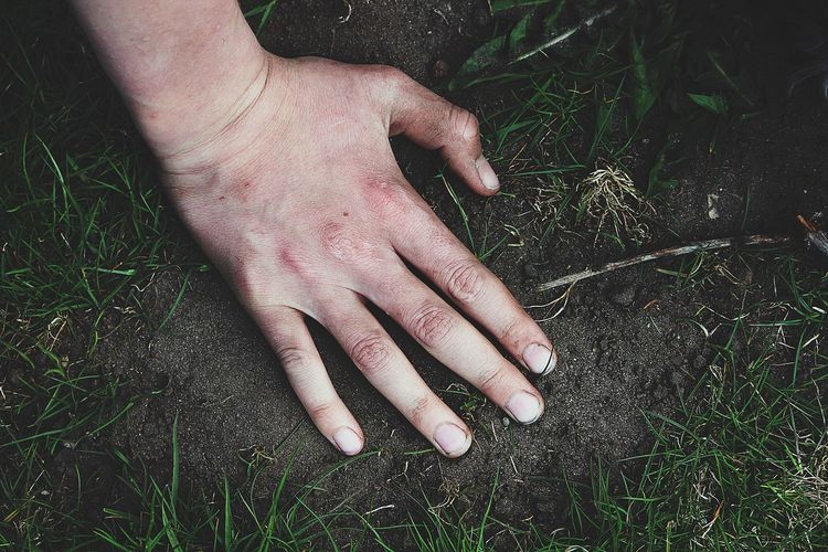 Close-up of hand on ground