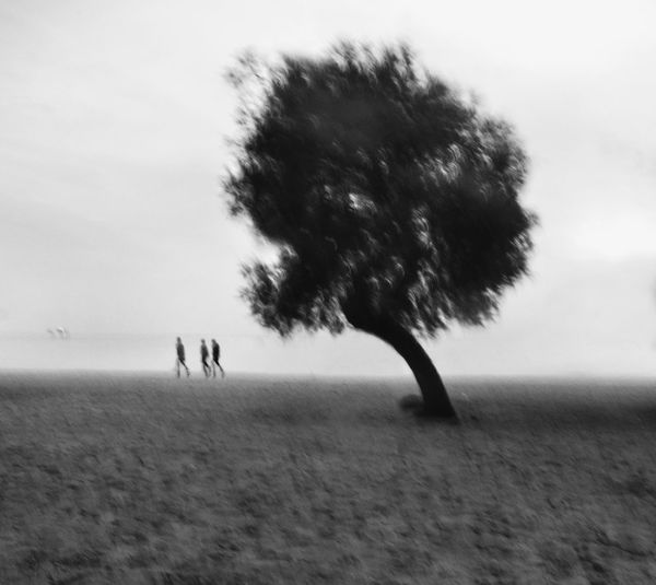 People walking on field against sky