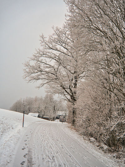 Snow covered road amidst trees against sky