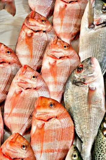 Close-up of fish for sale at market stall