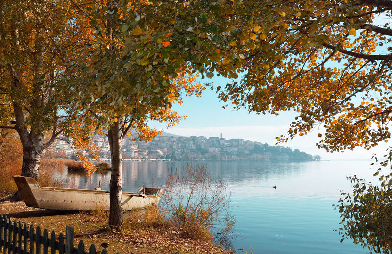Pelicans and other birds in the lake with background town of kastoria, greece