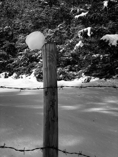 View of wooden post on snow covered land
