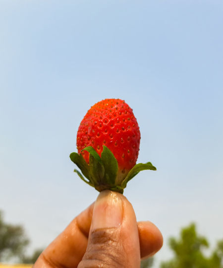 Close-up of hand holding strawberry against sky