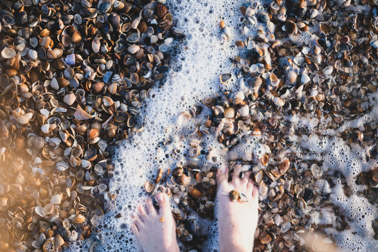 High angle view of stones on beach with feet