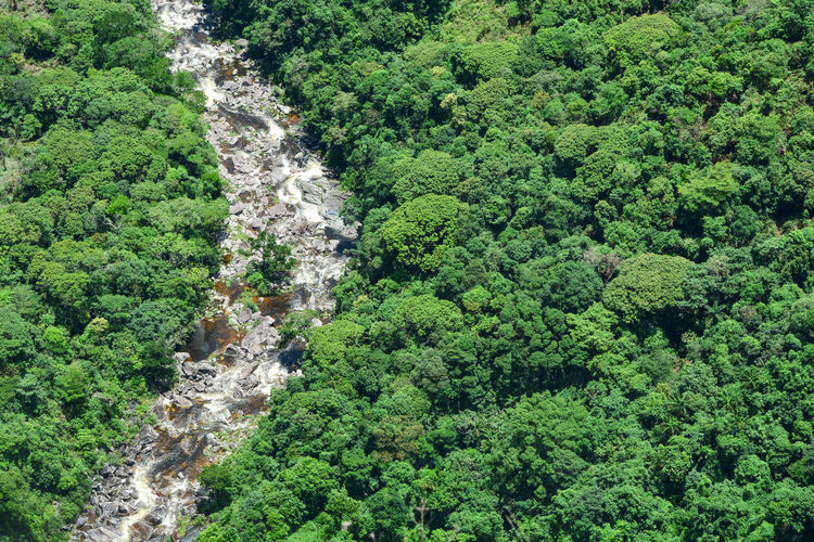 High angle view of waterfall amidst trees in forest