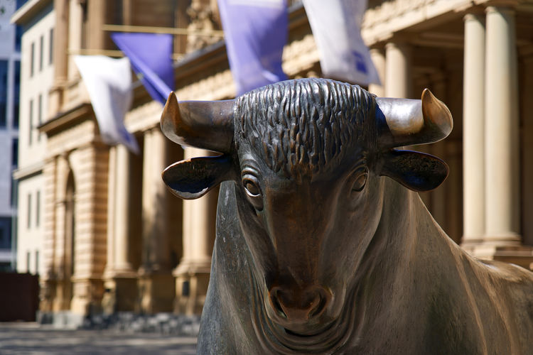 Close-up of bull of stock exchange 