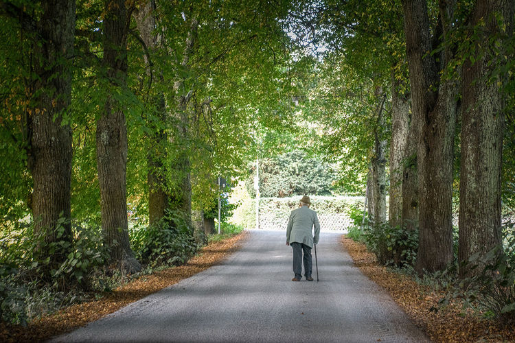 Rear view of senior man walking on road amidst trees