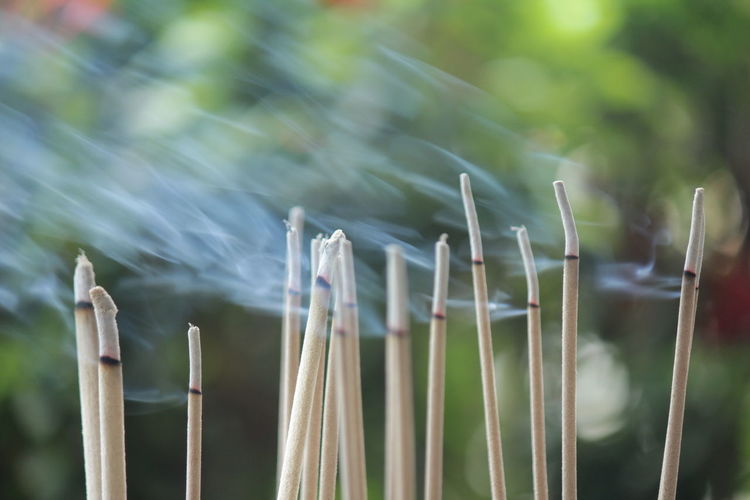 Incense burning to worship sacred objects or to worship the lord buddha.