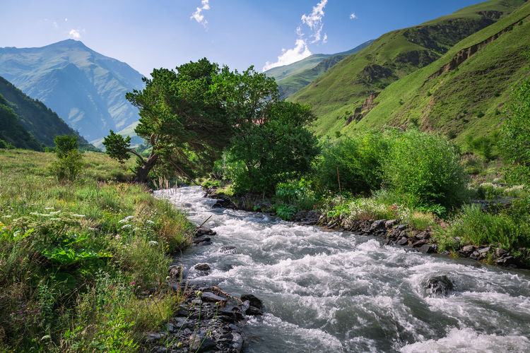 Scenic view of river flowing by mountains against sky