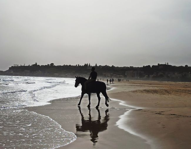 Silhouette people riding horse on beach against sky