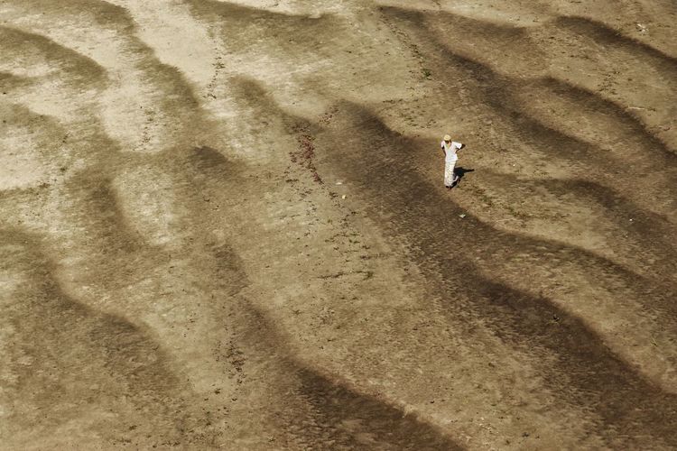 High angle view of people walking on sand