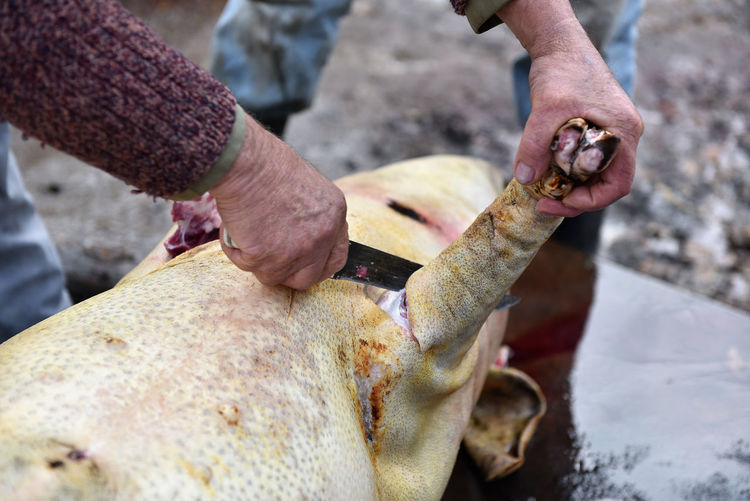 Cropped image of butchers cutting pork