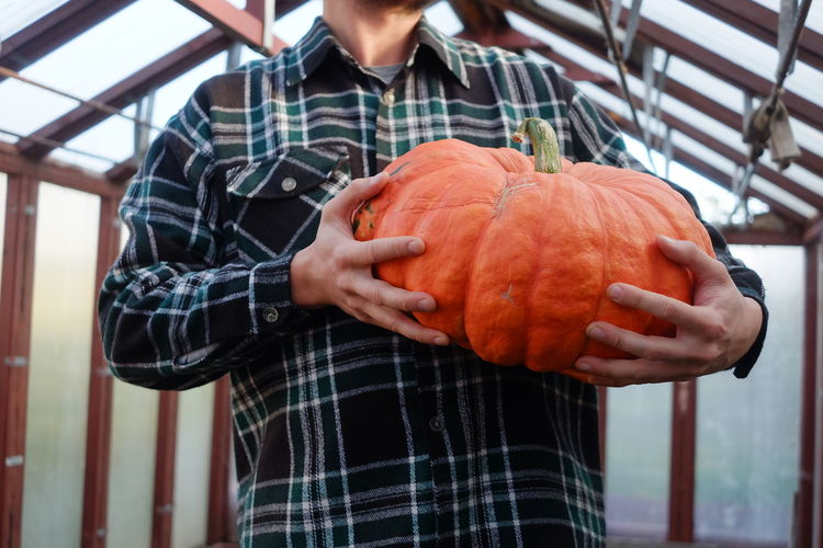 Midsection of man holding pumpkin