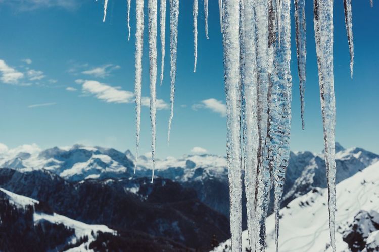 Close-up of icicles by snow covered mountains against sky