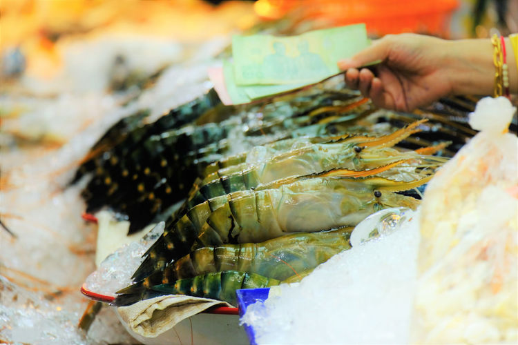 Close-up of fish for sale in market