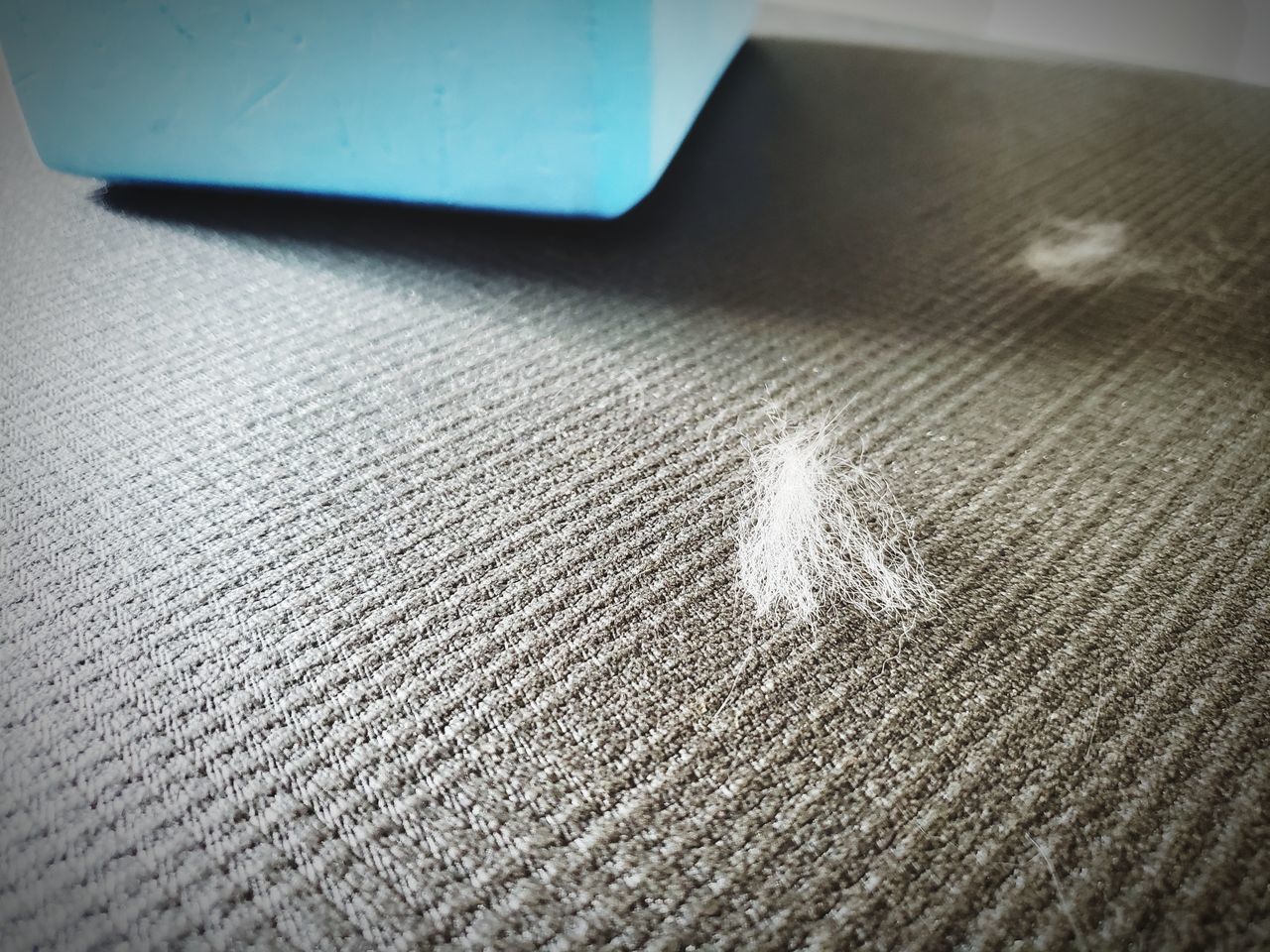 CLOSE-UP OF FEATHERS ON TABLE