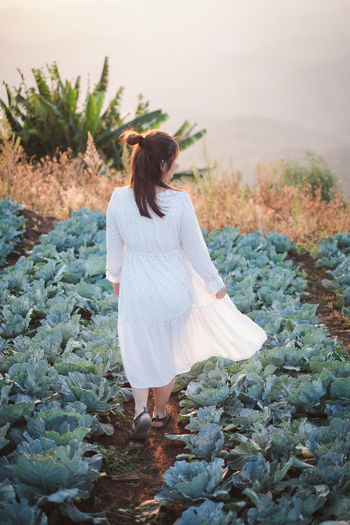 Rear view of woman standing among lettuce field
