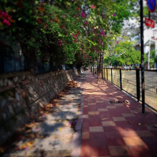 Empty footpath in park