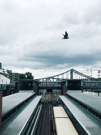 Birds flying over railroad tracks against sky